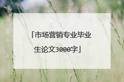 市场营销专业毕业生论文3000字