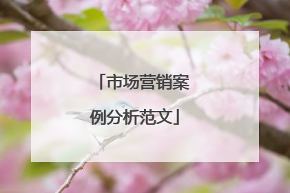 市场营销案例分析范文