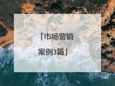 市场营销案例3篇
