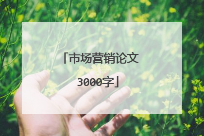 市场营销论文 3000字