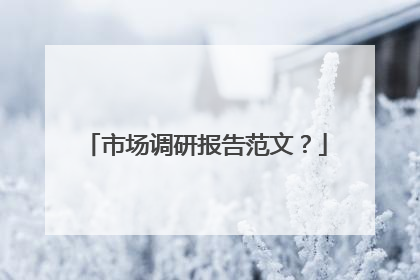 市场调研报告范文？