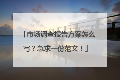 市场调查报告方案怎么写？急求一份范文！