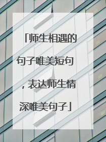 师生相遇的句子唯美短句，表达师生情深唯美句子