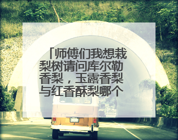 师傅们我想栽梨树请问库尔勒香梨，玉露香梨与红香酥梨哪个好些？