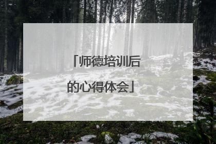 师德培训后的心得体会
