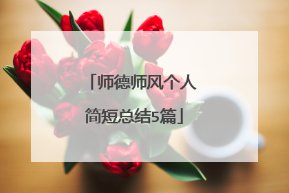 师德师风个人简短总结5篇