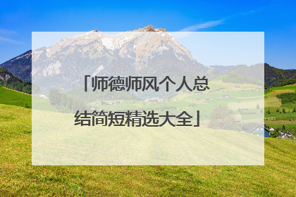 师德师风个人总结简短精选大全