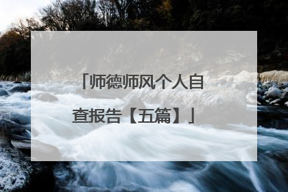 师德师风个人自查报告【五篇】