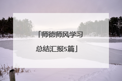 师德师风学习总结汇报5篇