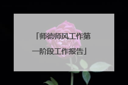 师德师风工作第一阶段工作报告