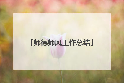 师德师风工作总结