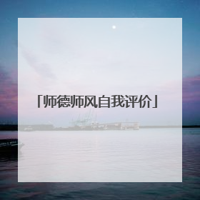 师德师风自我评价