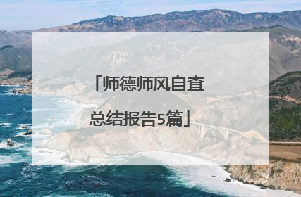 师德师风自查总结报告5篇