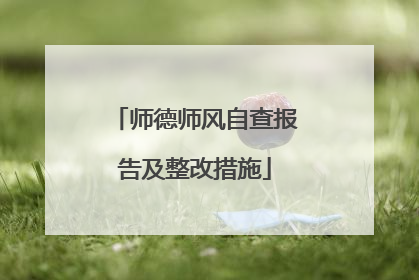 师德师风自查报告及整改措施