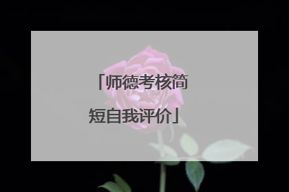 师德考核简短自我评价