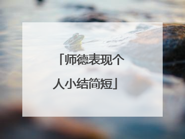 师德表现个人小结简短