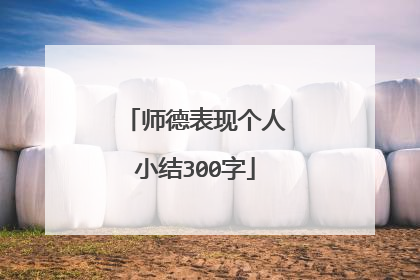 师德表现个人小结300字
