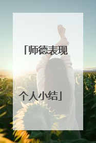 师德表现个人小结