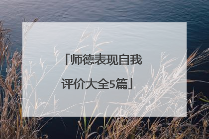 师德表现自我评价大全5篇