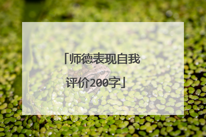 师德表现自我评价200字
