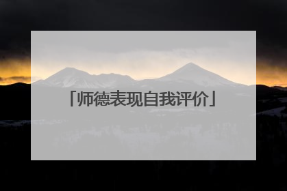 师德表现自我评价