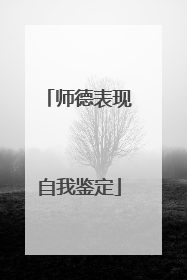师德表现自我鉴定
