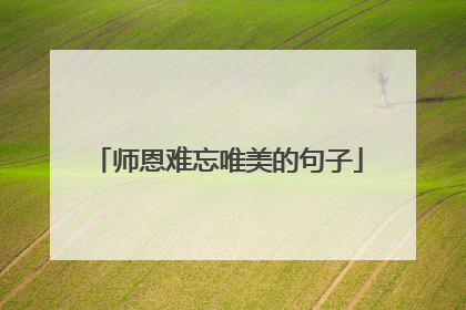 师恩难忘唯美的句子