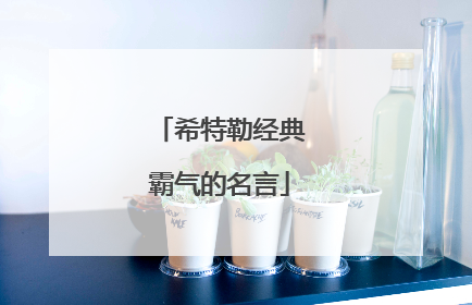 希特勒经典霸气的名言