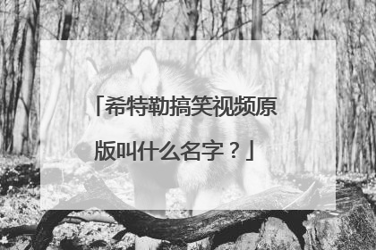 希特勒搞笑视频原版叫什么名字？