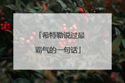 希特勒说过最霸气的一句话