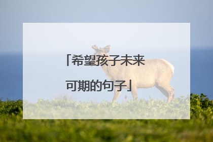 希望孩子未来可期的句子