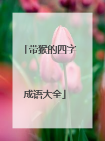 带猴的四字成语大全
