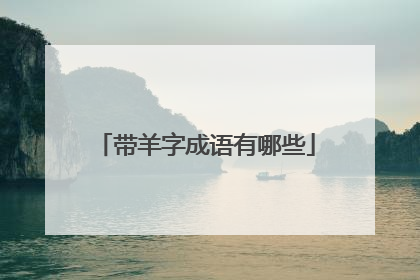 带羊字成语有哪些