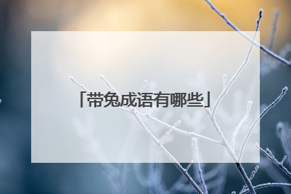 带兔成语有哪些