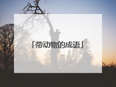 带动物的成语