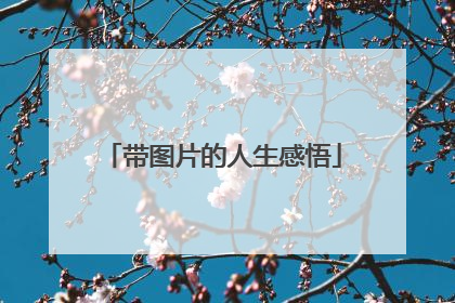 带图片的人生感悟