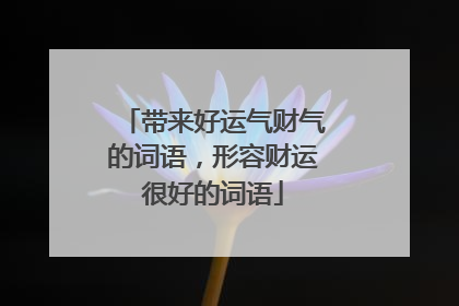 带来好运气财气的词语，形容财运很好的词语