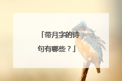 带月字的诗句有哪些？