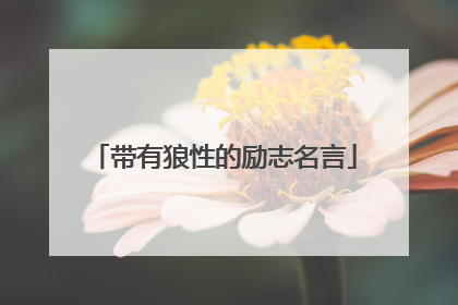 带有狼性的励志名言