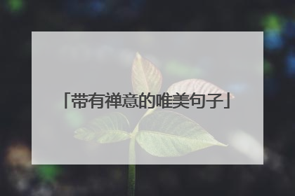 带有禅意的唯美句子