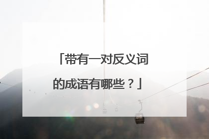 带有一对反义词的成语有哪些？