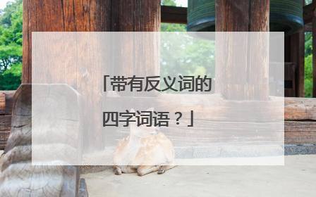 带有反义词的四字词语?