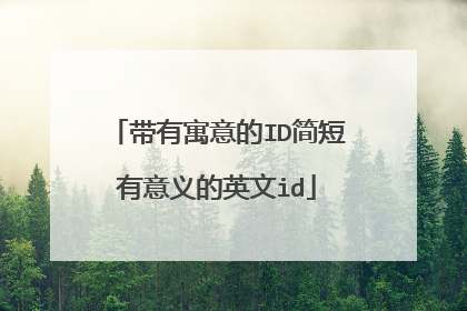 带有寓意的ID简短有意义的英文id
