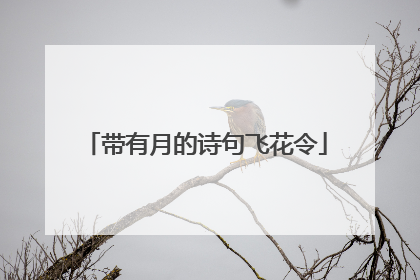 带有月的诗句飞花令