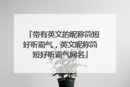 带有英文的昵称简短好听霸气,英文昵称简短好听霸气网名