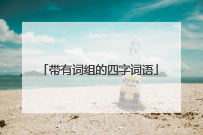 带有词组的四字词语