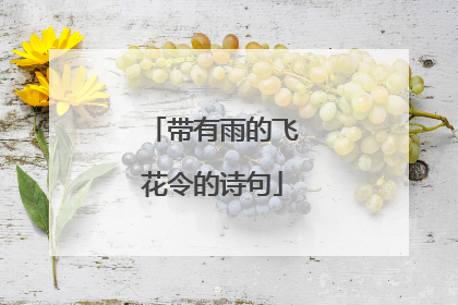 带有雨的飞花令的诗句