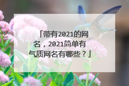 带有2021的网名,2021简单有气质网名有哪些?