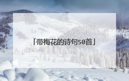 带梅花的诗句50首