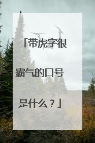 带虎字很霸气的口号是什么？